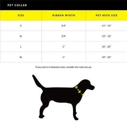 Waterproof Collar - Teal