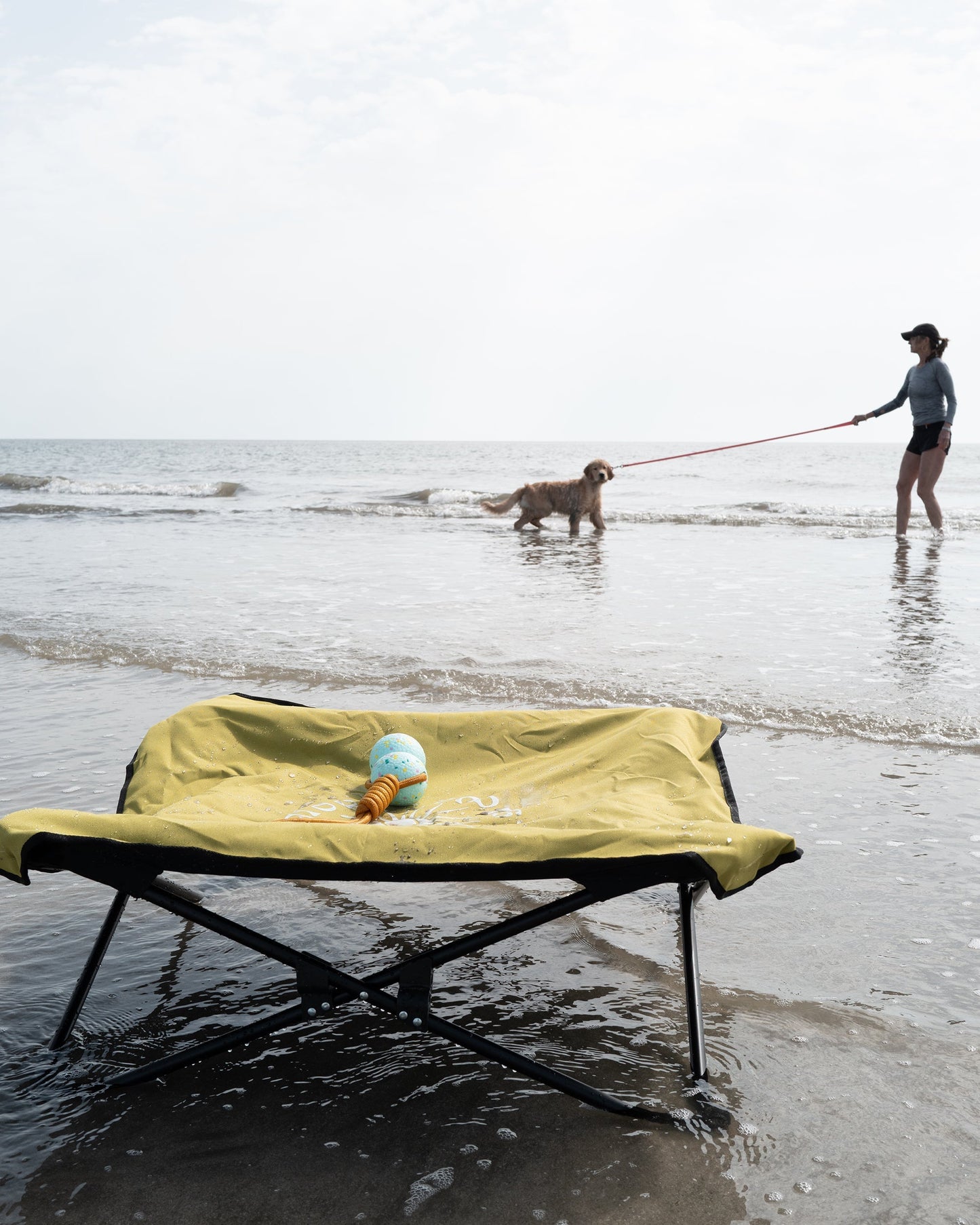 Fold & Go Pet Cot - Lime