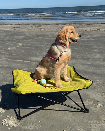 Fold & Go Pet Cot - Lime