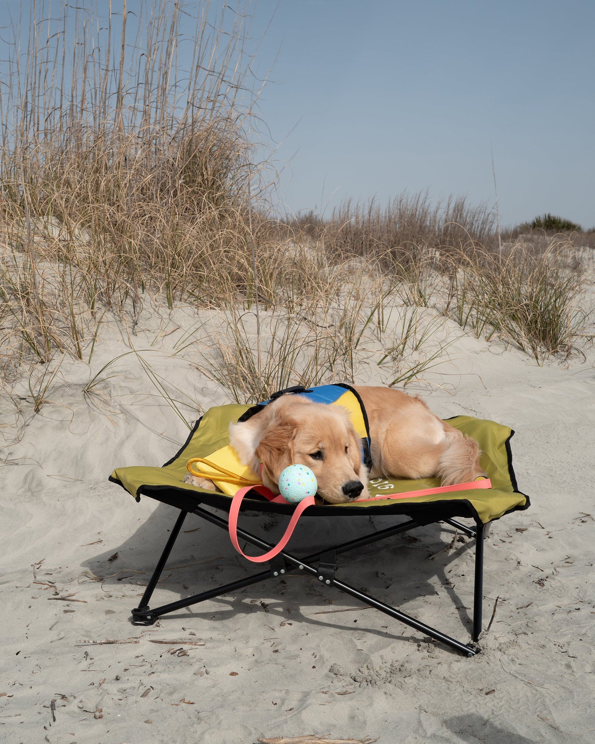 Fold & Go Pet Cot - Lime