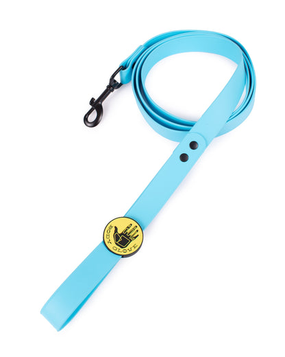 Waterproof Leash - Sea Mist