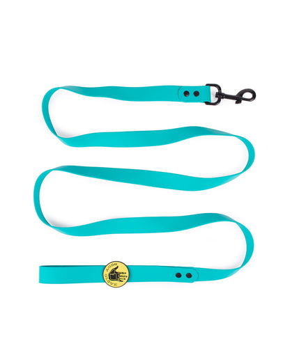 Waterproof Leash - Teal