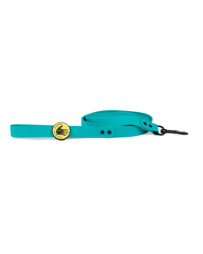 Waterproof Leash - Teal